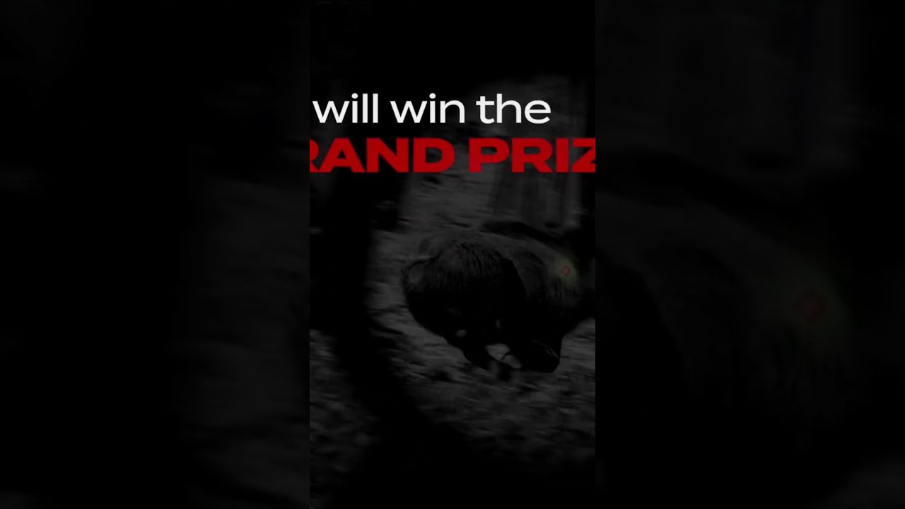 WIN A Place On The Aimpoint Academy 2023