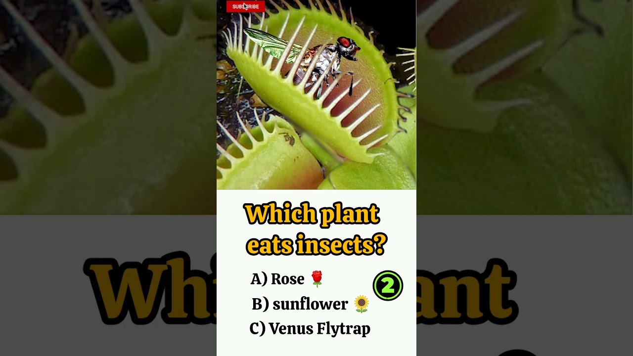 General knowledge Quiz 💥🔥 For botany students