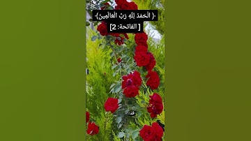 الايه الثانيه في سورة الفاتحه القراءة الصحيحة