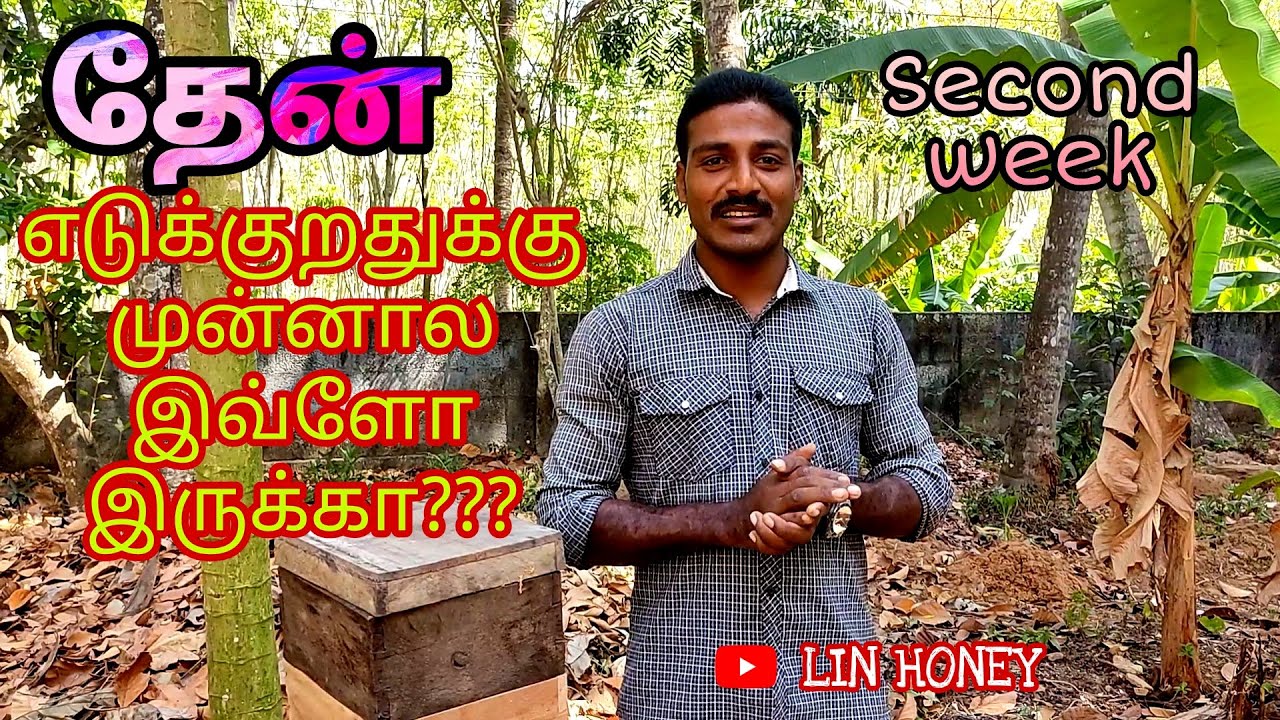 TIPS TO TAKE CARE BEFORE HONEY SEASON | LIN HONEY , MARTHANDAM
