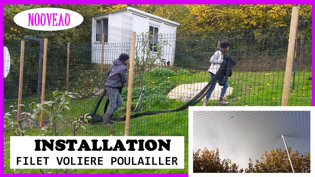 Filet de protection pour poules