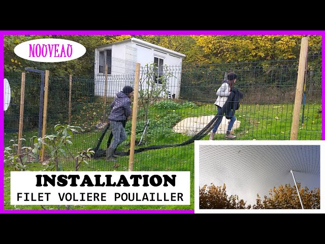 POULAILLER : Filet anti rapace et grippe aviaire ! [INSTALLATION