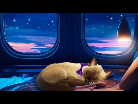 Pets on Private Jets! | Airplane Sounds for Sleeping | Live Stream