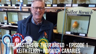 Para Ahli di Bidangnya - The Norwich Canary \u0026 Keith Ferry