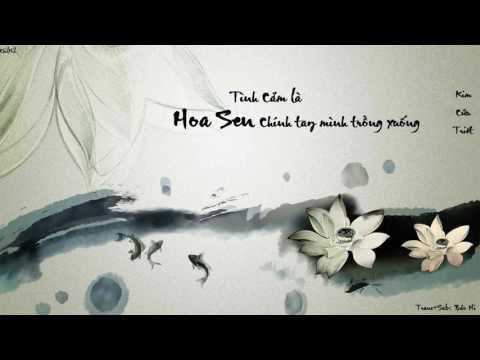 Video [Vietsub] Tình cảm là hoa sen chính tay mình trồng... - youtube
