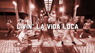Livin La Vida Loca Salsationchoreography By Sei Reimi