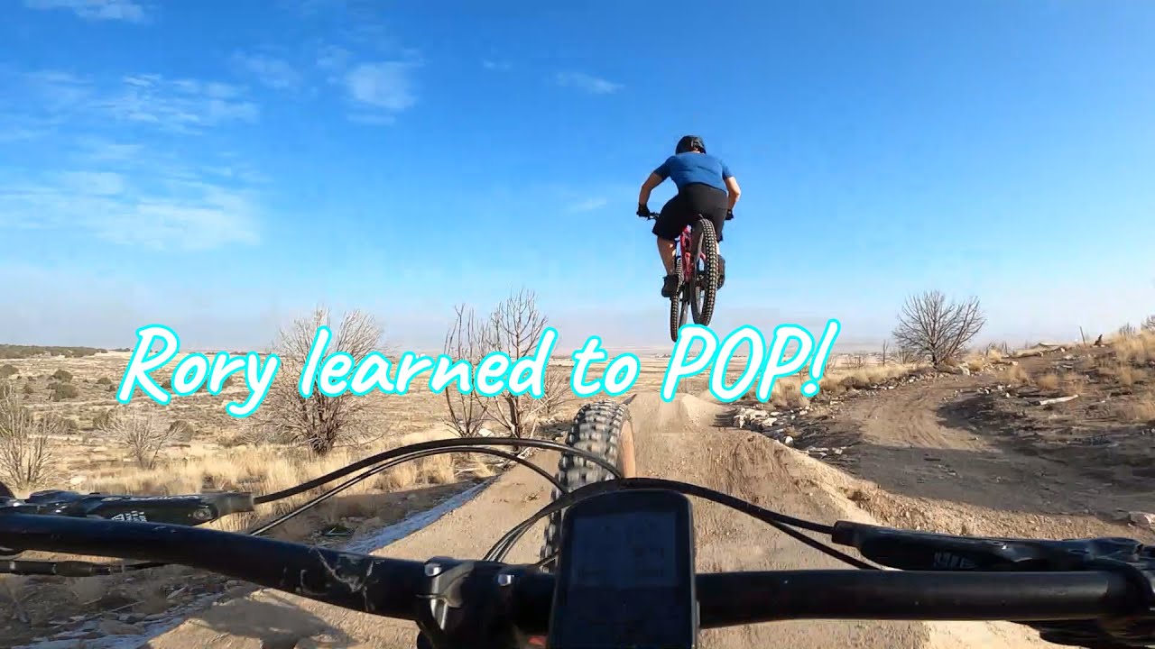 I Finally Got Rory to Wear a Camera!  What's Your Favorite Camera Angle?