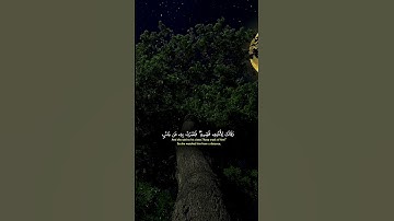 { وأصبح فؤاد أم موسى فارغاً } @سورة القصص @ياسر الدوسري @تلاوة خاشعة @تلاوات HD