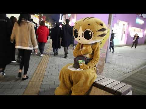 JHKTV] 신촌명물고양이하나씩먹어  <strong>shin</strong> chon special cat Eat one <strong>at</strong> a time.