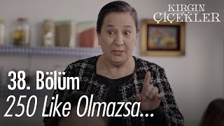 Nerimanın Sosyal Medya Merağı - Kırgın Çiçekler 38. 