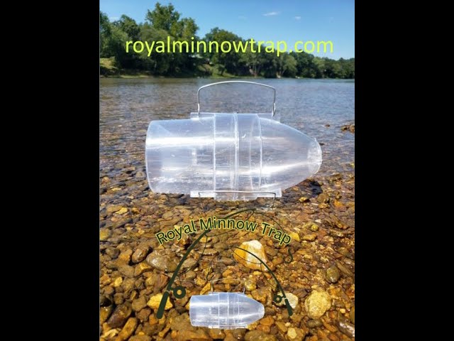 The Royal Minnow Trap 