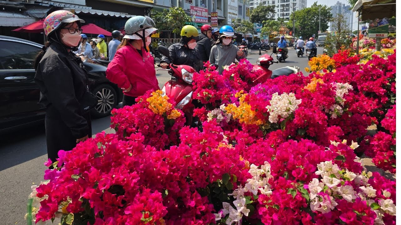Người Sài Gòn chộn rộn mua mai vàng, vạn thọ, hoa giấy nhiều màu, nhà vườn bưng bê không kịp