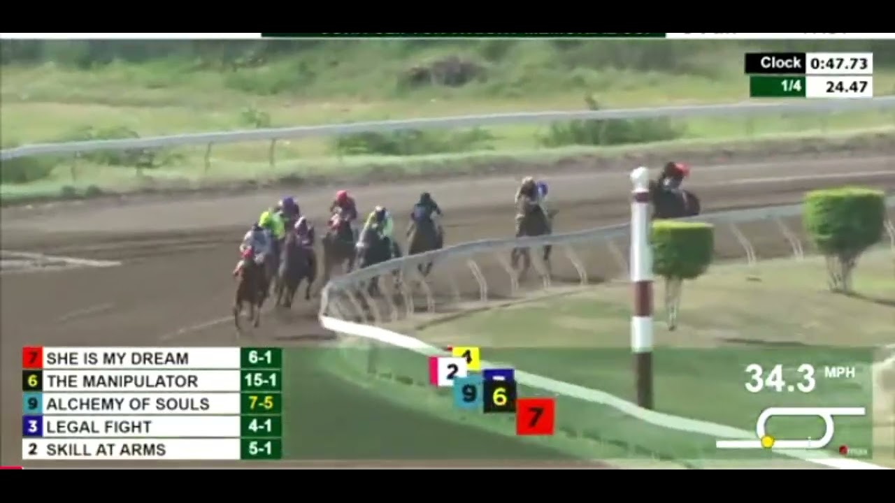 CAYMANAS PARK RACE/REPLAY OF SATURDAY FINISHER FOR SATURDAY 19, 2025