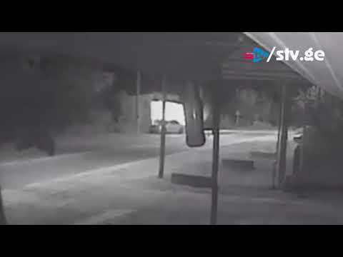 სოფელ ცაცხვში სუპერმარკეტს მოლოტოვის კოქტეილი ესროლეს