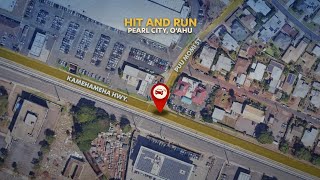 Pearl City: The Unseen Witness