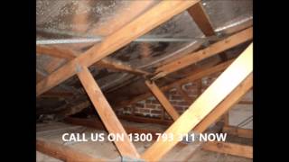 building and pest inspections brisbane SUNSTATE PEST REPORTS