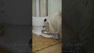 Otomatik Kedi Tuvaleti Gerçekten Güvenli mi? 🐱 Test Ettik! #kedibakımı #otomatikkedituvaleti