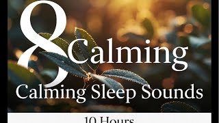 LIVE Water Mill Sounds 💧 Relaxing Nature Ambience for Deep Sleep