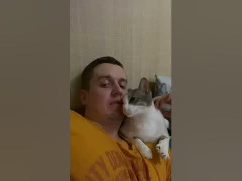 ‼️⚠️Откусил ухо коту😡🤬 #юмор #котики #кусь #cats #kitten #cat #catlover ...