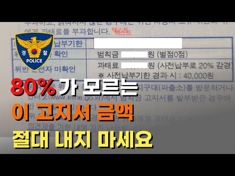 80 가 모르는 이 고지서 금액 절대 내지 마세요 과태료 범칙금 