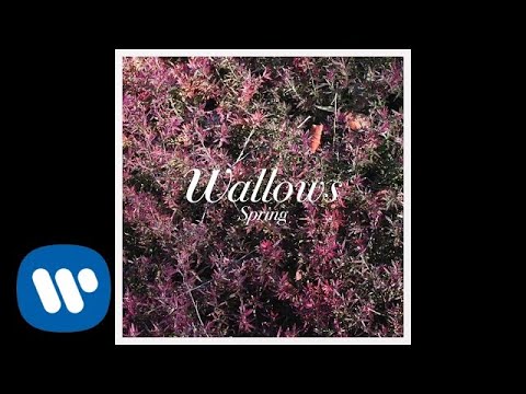 Wallows - Ground (Official Audio)