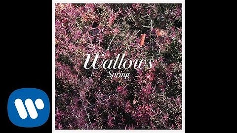 Wallows - Ground (Official Audio)