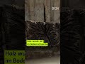 Krasser Kelten-Fund: Holz älter als Jesus | BR24 vor Ort