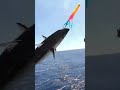 Does a US Navy Ship Catch Fish to Feed the Crew? 😳🐟⚓