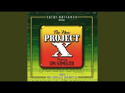 The New Project X
