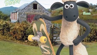 Baranek Shaun