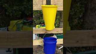 How Do I Use The Hatching Time Processing Cones?