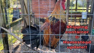 Homestead update!! #shippingcontainers