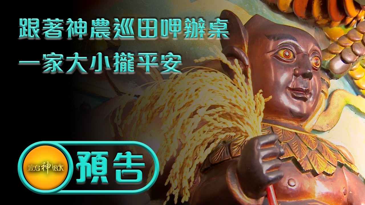 【跟著神農巡田呷辦桌 一家大小攏平安】｜預告 #寶島神很大 #神農大帝 #神農氏 #巡田