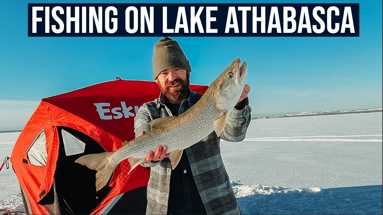 Lake Trout Fishing on Lake Athabasca YouTube