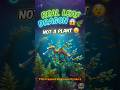 Real Leaf dragon🐉😱Hidden Sea Creature#leafyseadragon #ocean #animals #nature #viral #shorts