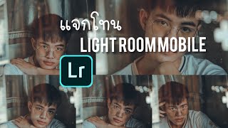 แจกโทน Light room mobile Green film tone | SantitNan