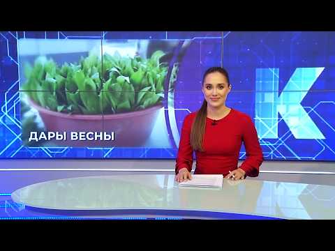 Новости Калининграда — итоги дня, 27 марта 2026 каскад тв