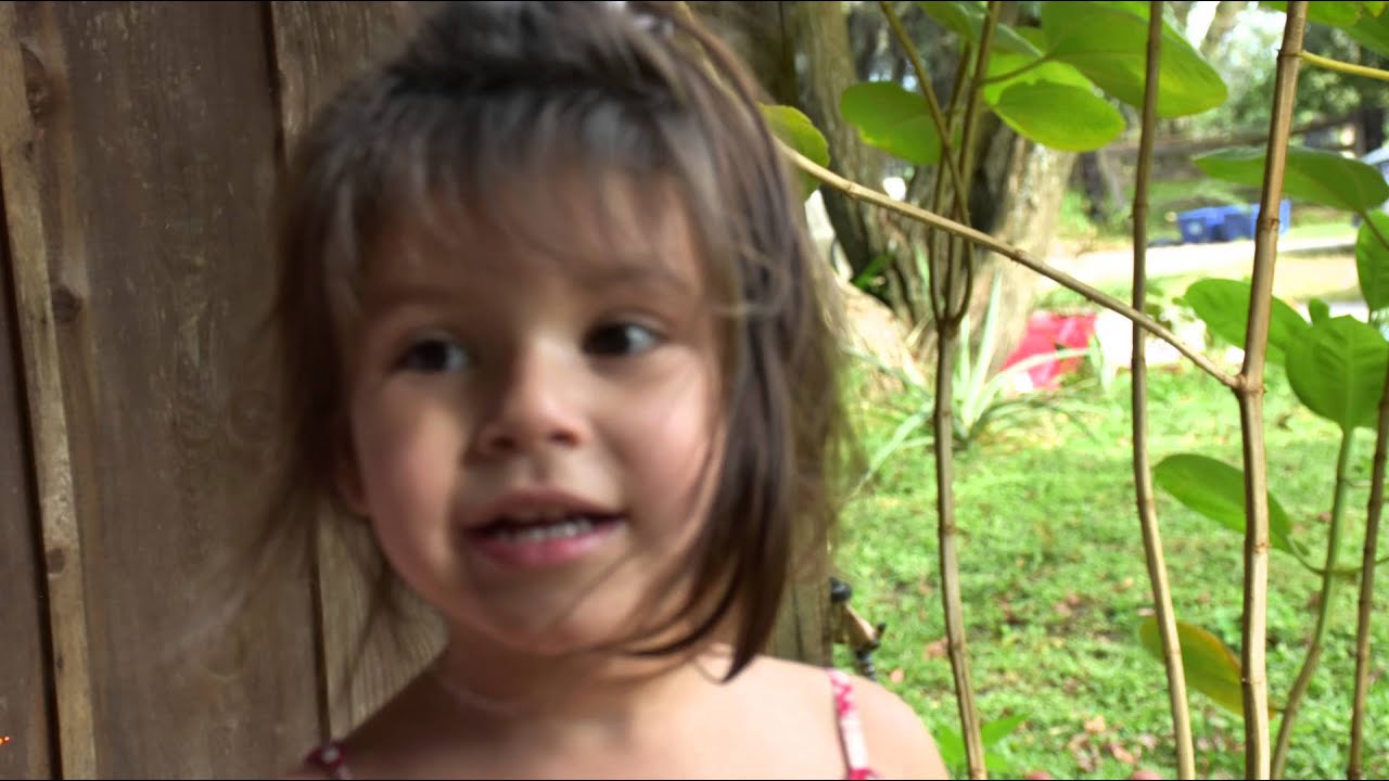 On The Farm with Solara & Twinkle Yochim