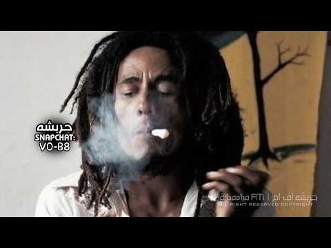 ارشيف استكنان 2026 القريب منك بعيد والبعيد عنك