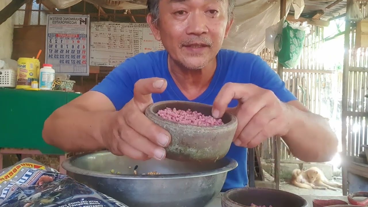 My own way of applying carbohydrates and feeds on day of competitions