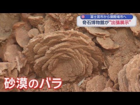 An exhibition showcasing a selection of unusual stones from the