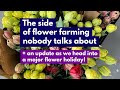 The side of flower farming nobody talks about an update as we head into a major flower holiday