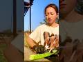 cool way to peel lettuce stems quickly #shorts