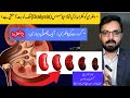 Ignoring Kidney Stones Can Damage Kidneys|Urologist|Dr Ghazanfar #kidneystones #ckd #dialysis #stone