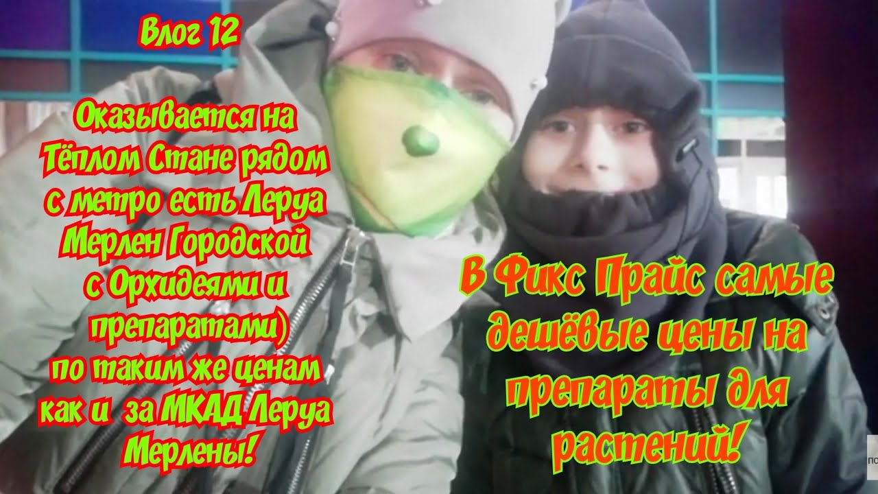Виста и лапекс