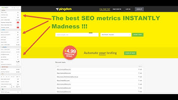 Instant SEO Metrics on Any Site!
