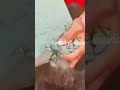 texture melts in hands 💕#must watch #shortsfeed