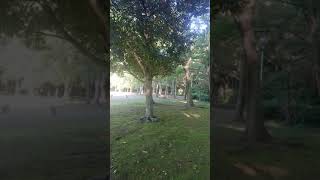 リアリズム外交について語る。伊藤貫さん『外交三賢人』