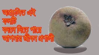 অপ্রচলিত এই ফল টি আপনার জীবন বদলে দিতে পারে || Health Benefits Of Sofeda Fruits screenshot 4