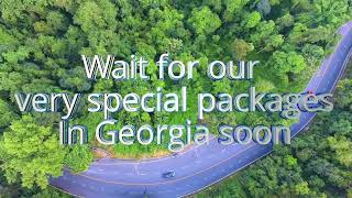 Attraction Of Georgia